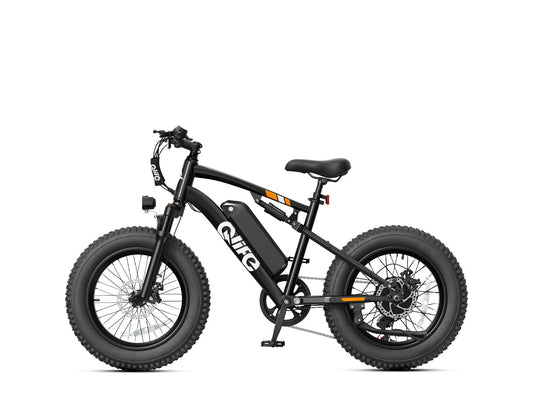 Qlife Racer 2.0 20-inch fat tire electric bike in Black