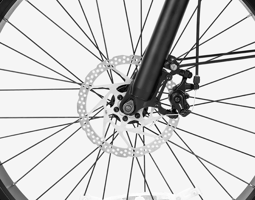 26 x 4.0 Fat Tires & Disc Brakes