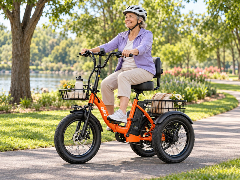 Comfortable Neighborhood & Park Rides